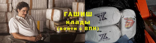 гидра Абаза