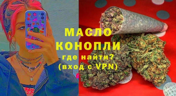 гидра Абаза