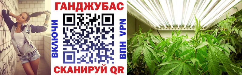 Марихуана план  Барыш 